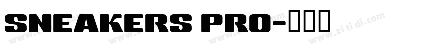 SNEAKERS PRO字体转换